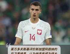  莱万多夫斯基踢什么位置 