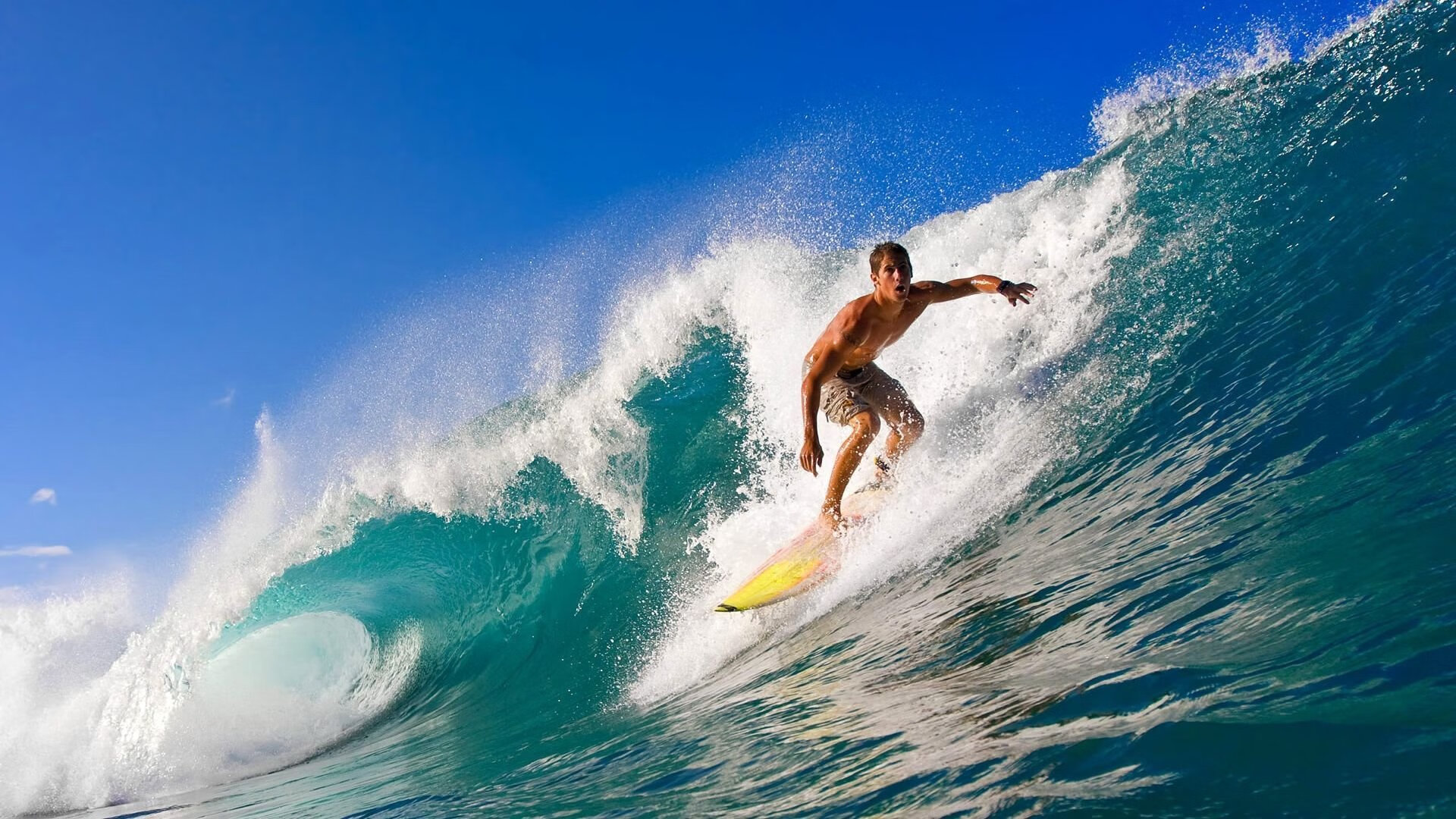 出色防守引发热议！穆雷在C9比赛中最后时刻胜出观众掌声雷动